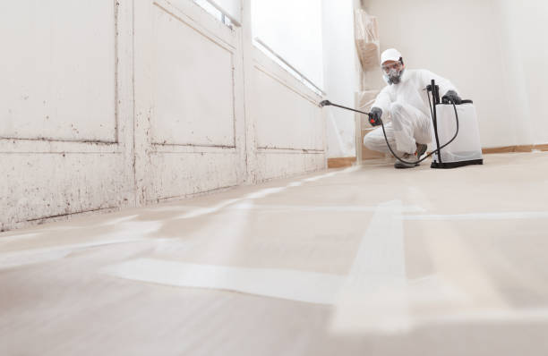 24/7 Emergency Mold Remediation experts in Frisco, TX