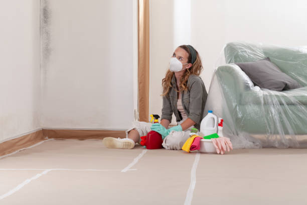 Reliable Mold Remediation contractor in Frisco, TX by Mold Remediation HQ